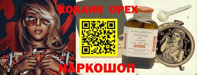 гашик Будённовск