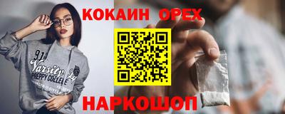 гашик Будённовск