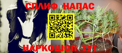 гашик Будённовск