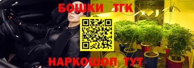 ПСИЛОЦИБИНОВЫЕ ГРИБЫ Гагарин