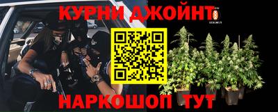 ПСИЛОЦИБИНОВЫЕ ГРИБЫ Гагарин