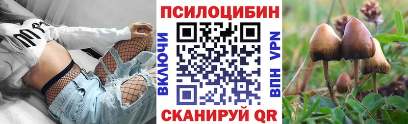 Галлюциногенные грибы Psilocybe Горно-Алтайск
